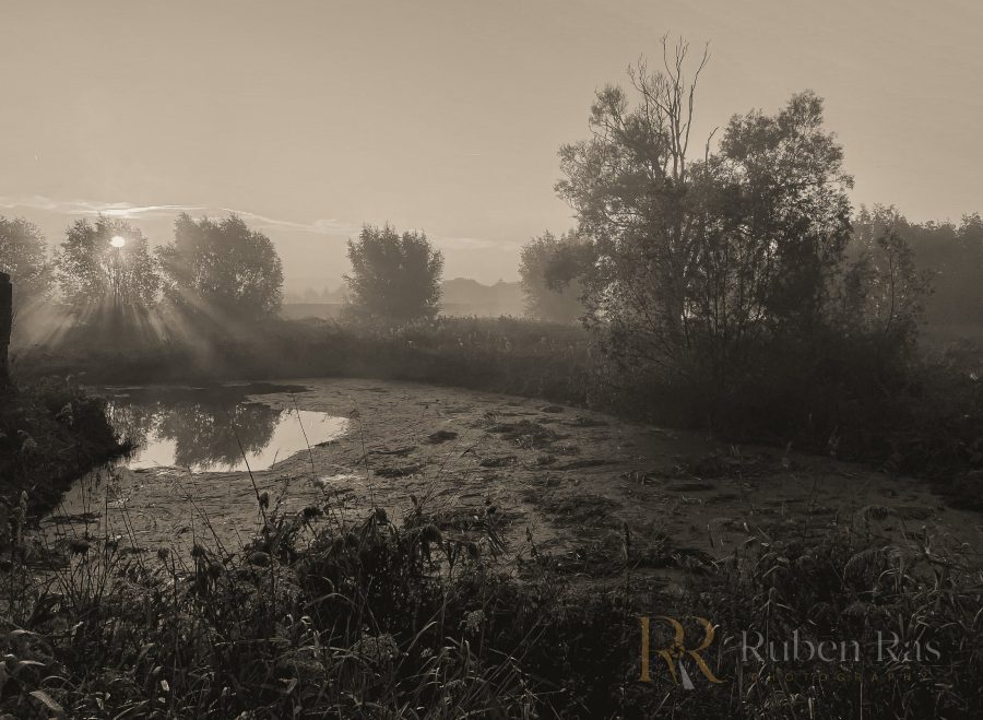 landschap sepia zon